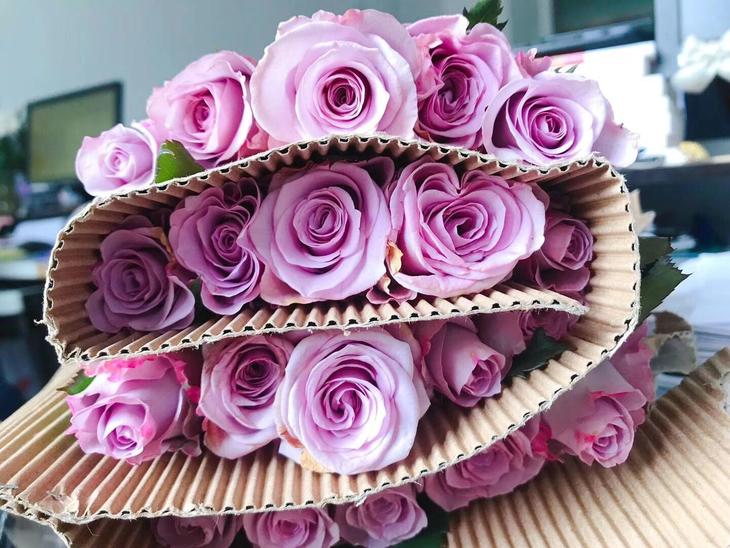 荆报鲜花坊，海洋之歌玫瑰，一扎20枝，55元空运全国包邮