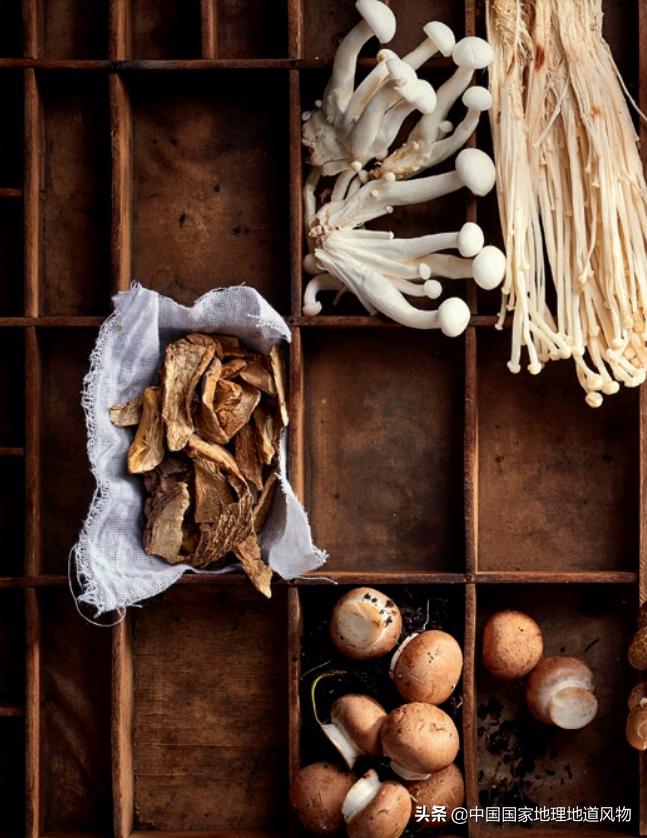 灵寿县蘑菇,灵寿蘑菇