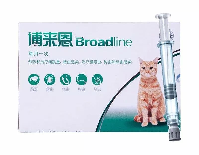 猫咪用博来恩外驱后多久才能舔毛,博来恩和拜耳内驱可以同时用吗