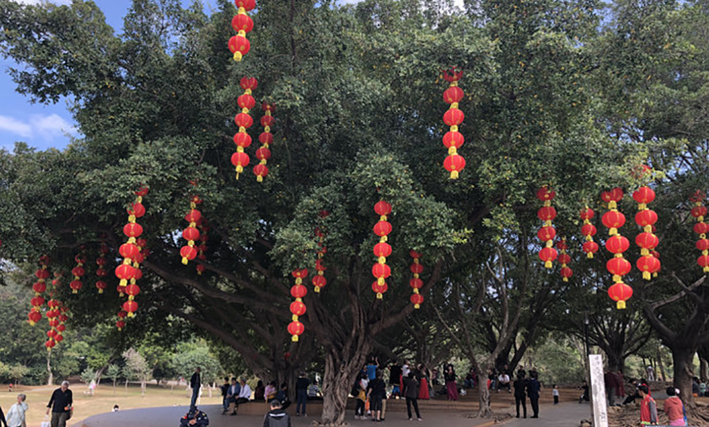 深圳莲花山公园游玩攻略,深圳莲花山公园休闲好去处