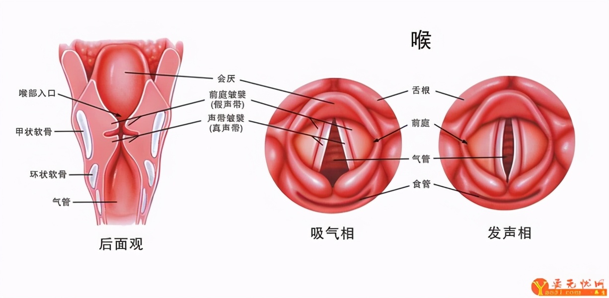 85岁老人喉咙出气呼呼作响为什么,老人咽喉感觉发紧不舒服
