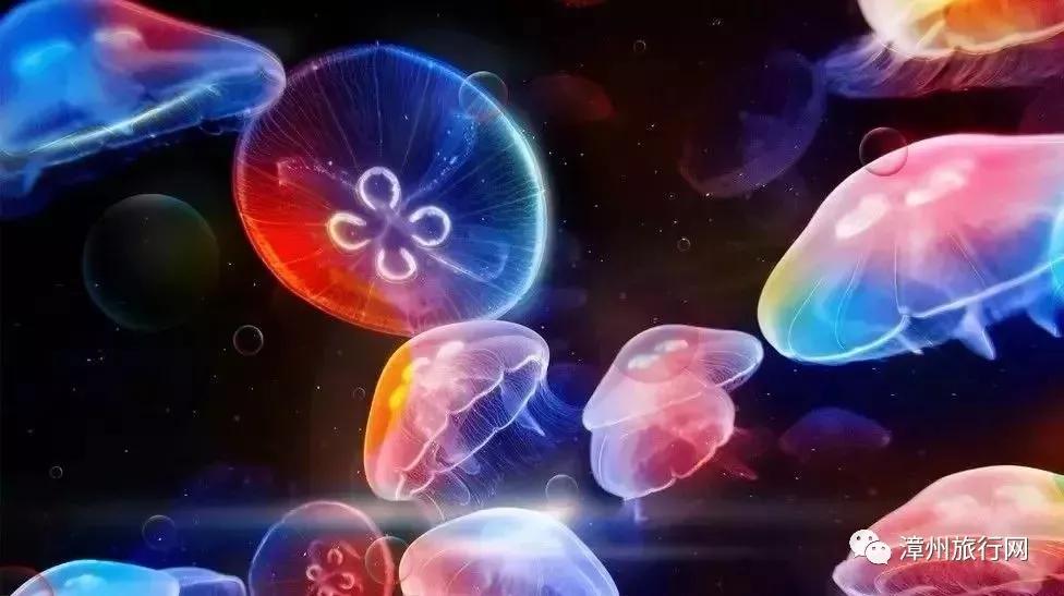 漳州市景点收藏榜,漳州古城景点攻略