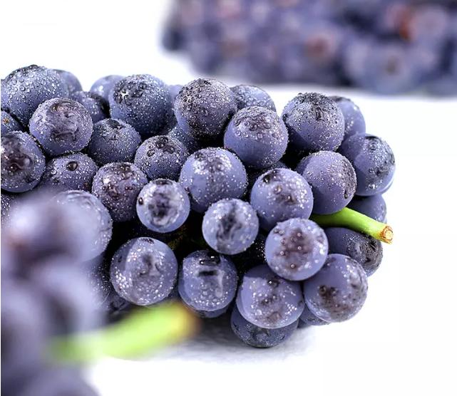 正宗黑珍珠葡萄,好吃的珍珠葡萄