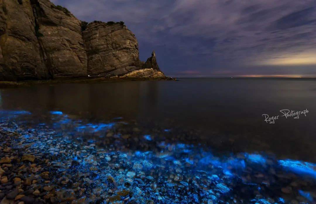 突然就想去成都了,突然想去青岛了