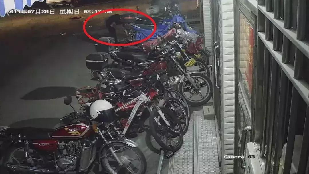 油耗子深夜出没警方上演极限抓捕,深夜遇到油耗子