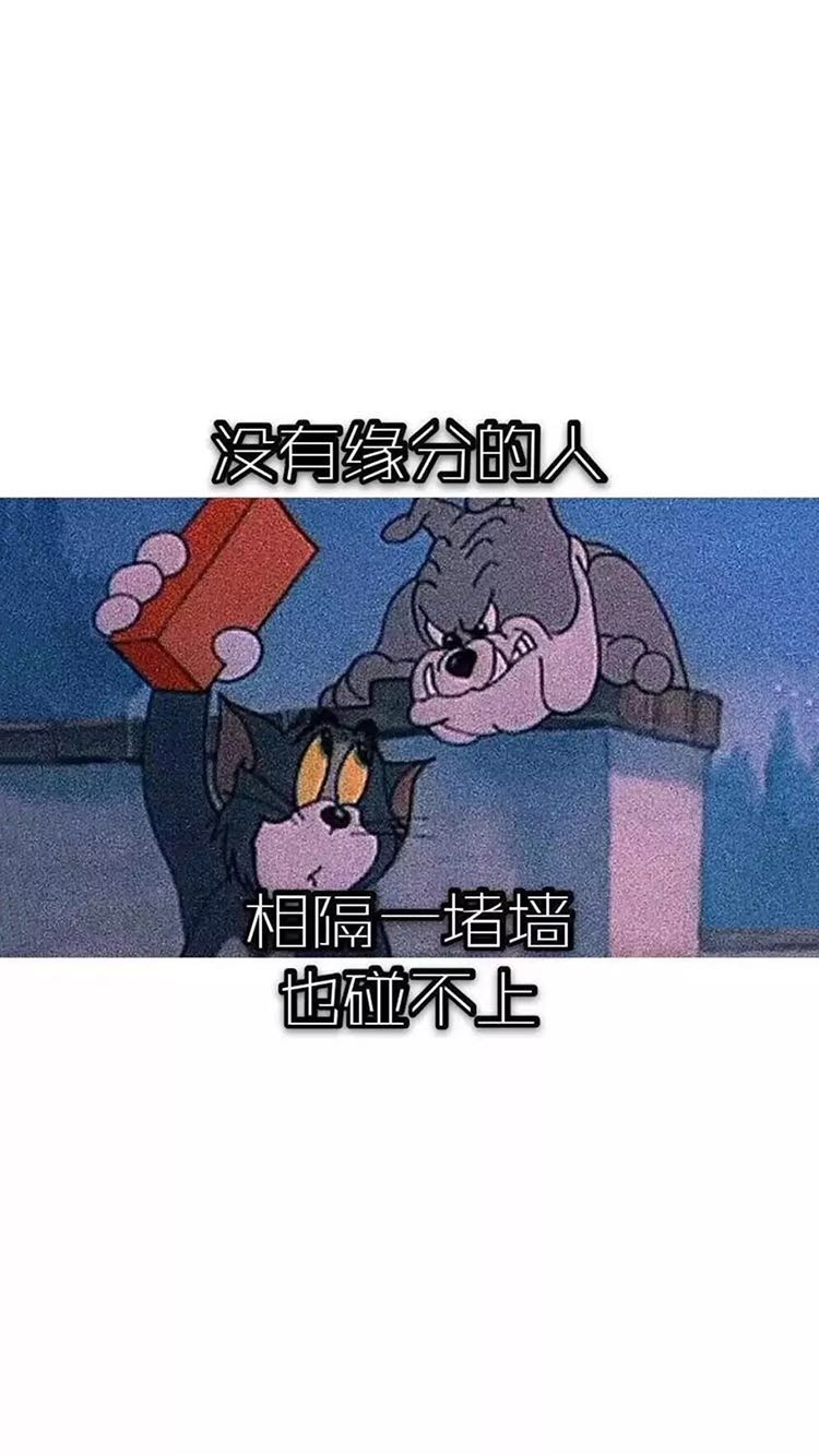 服装批发市场大全及进货技巧,服装批发要知道的问题有哪些