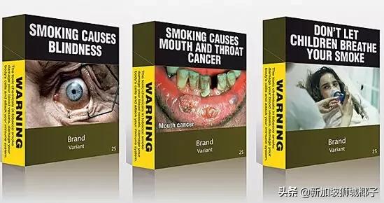 新加坡12件事,新加坡11件大事件