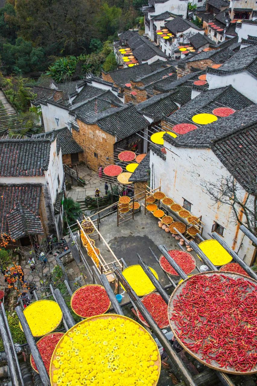 这才是中国最美的乡村,最值得去的鲜花小镇