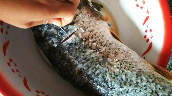 怎样炖鱼好吃不腥肉质鲜,鱼怎么炖鱼不烂又好吃