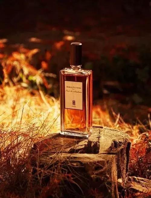 适合秋冬的香水淡香,适合秋冬季节使用的香水