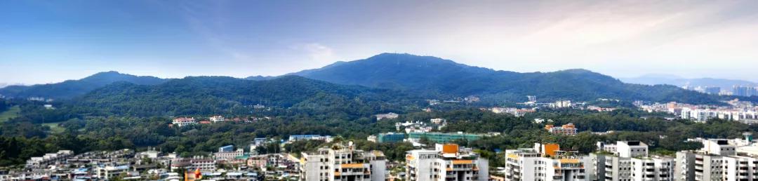 奇迹!这个寸土寸金的城区,2000多年来从未衰落,价值仍在暴涨