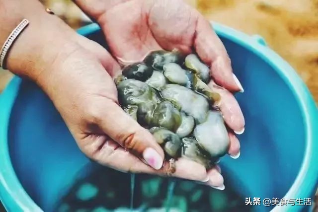 大连海鲜批发集市,大连海鲜最便宜的市场