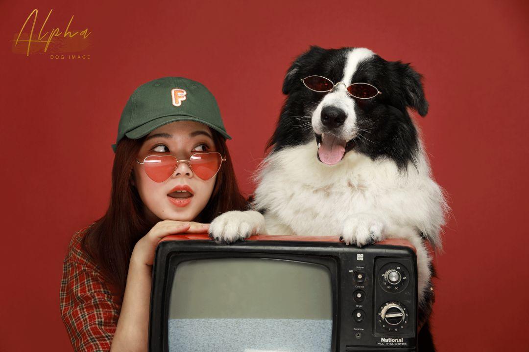 Pick到一家宝藏「宠物写真馆」!福利已谈好,铲屎官快冲鸭