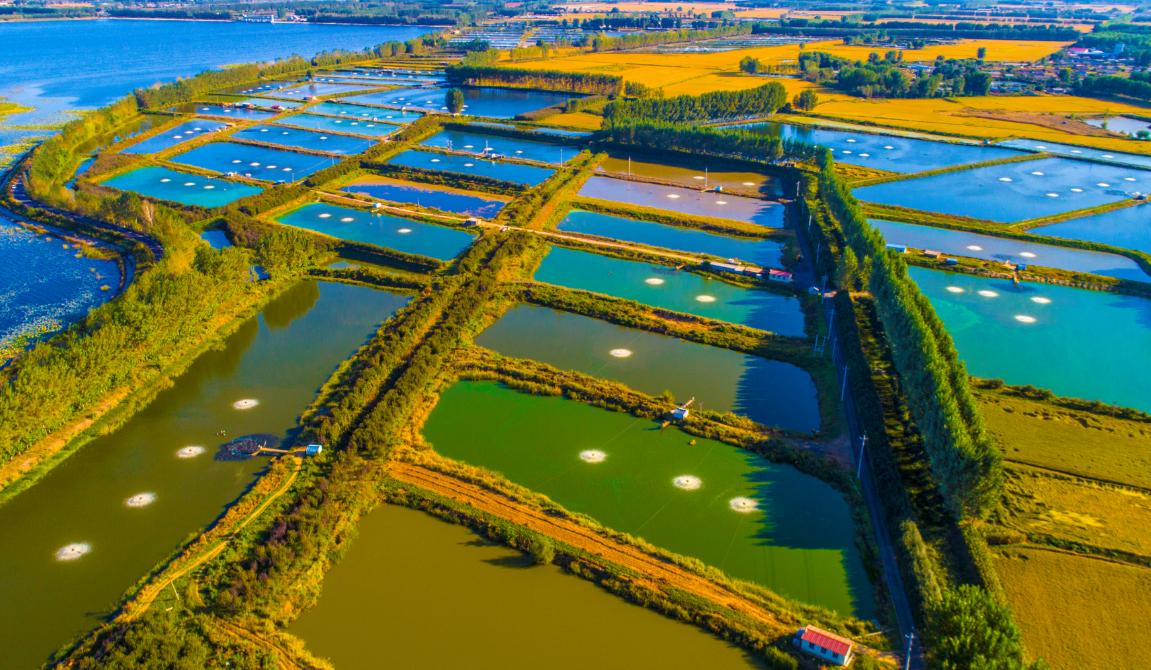 「飞阅大沈阳」瞰辽中：开辟高质量发展新境界