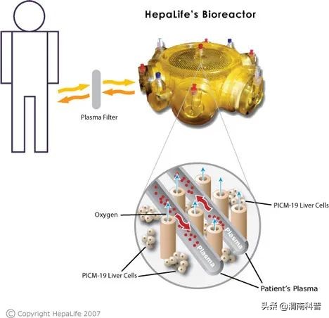 新冠肺炎救命神器,疫情期间急救神器