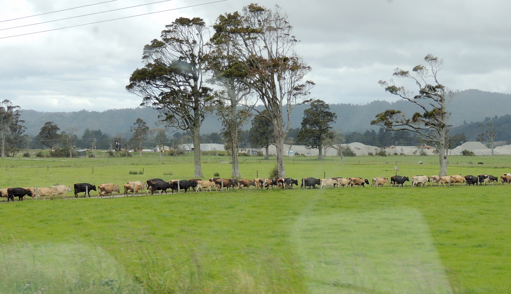 新西兰基督城,没有一个听众,他依旧讲得慷慨激昂