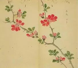 五千年来最美的20首诗,100首美到窒息的诗句