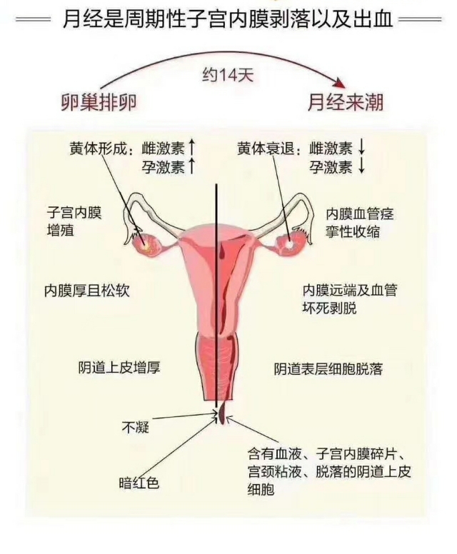 霉菌性阴道炎好了的症状,霉菌性阴道炎几乎无症状