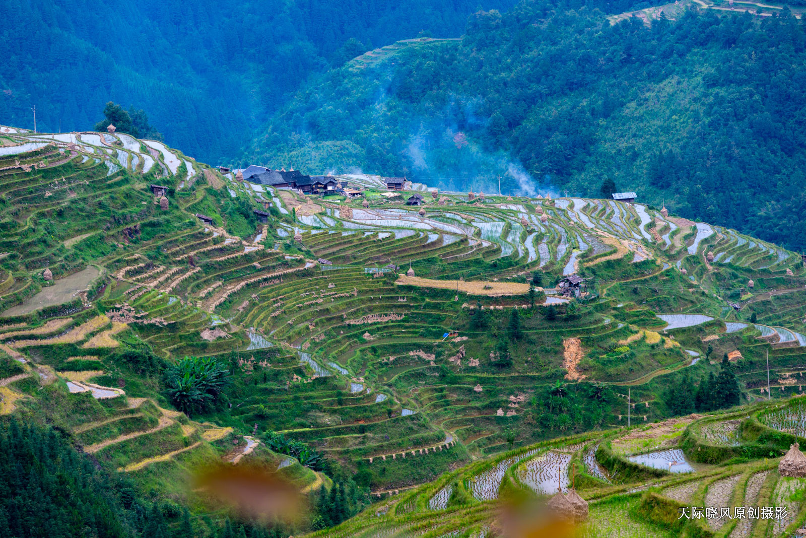 贵州加榜梯田简介,加榜梯田苗族完整版