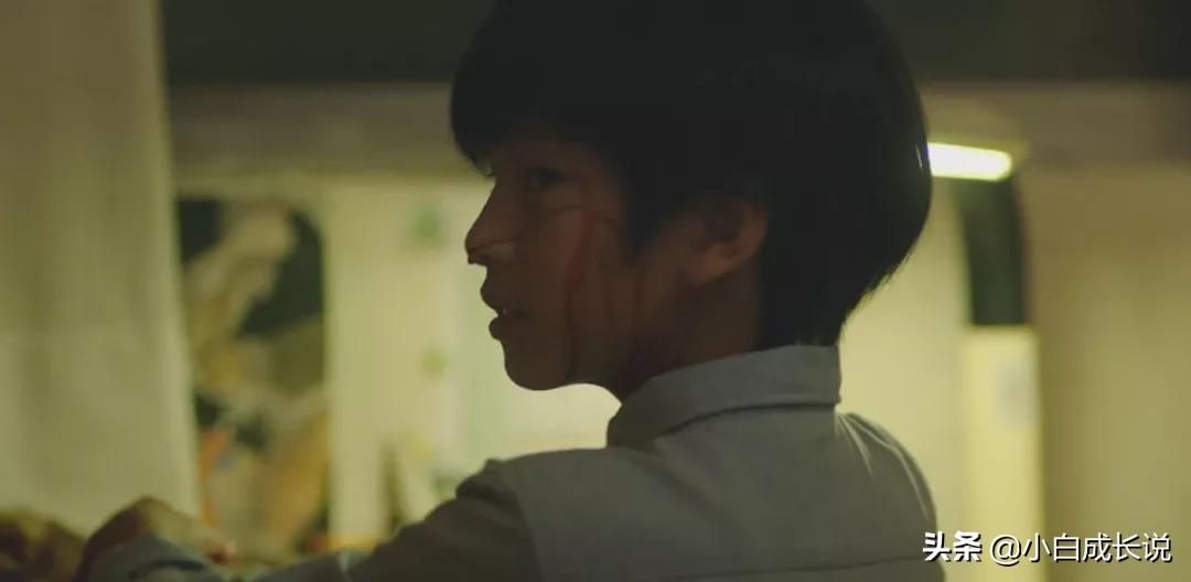 为什么虐猫会被批判,为什么现在虐猫都能上热搜