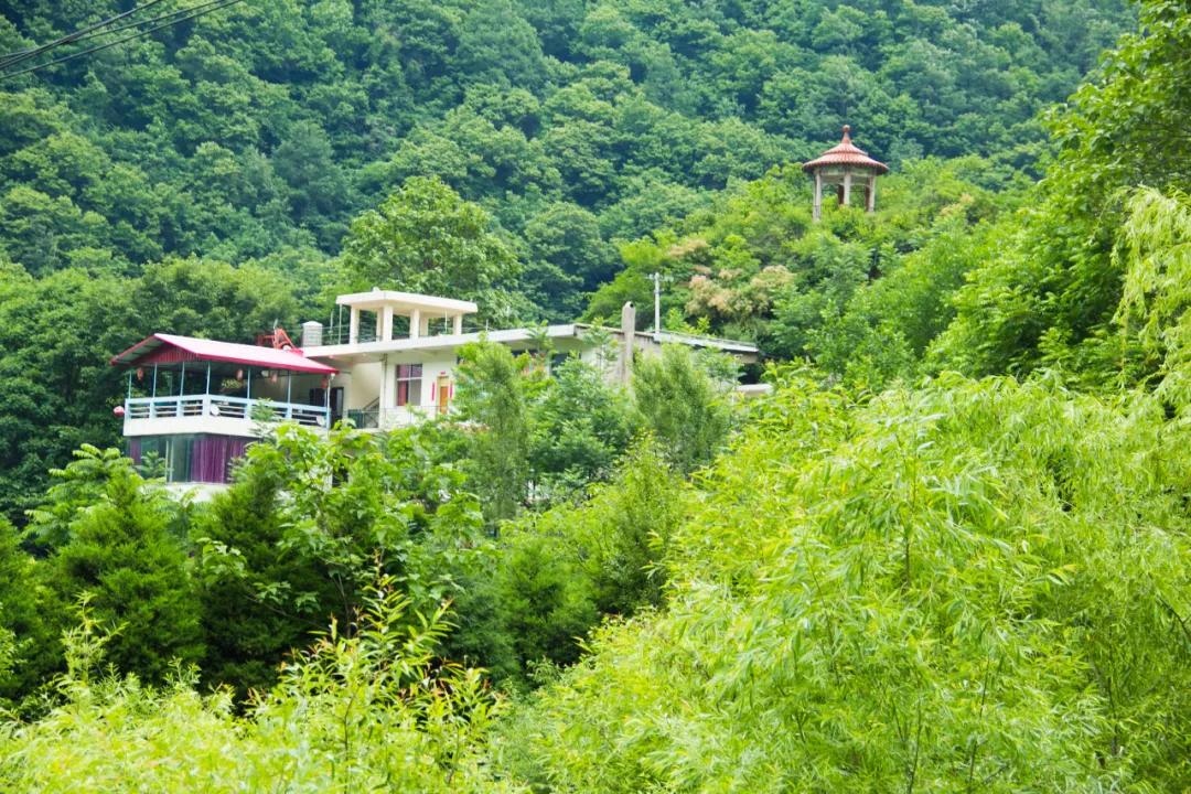 秦岭沣峪口上山有哪些景点,秦岭大坝沟瀑布