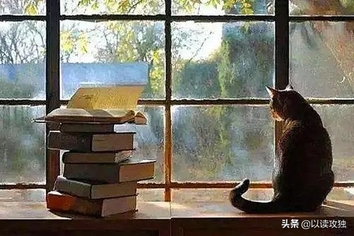 明天和意外，不知谁先来：应对不确定危机，做一个“高韧性”的人