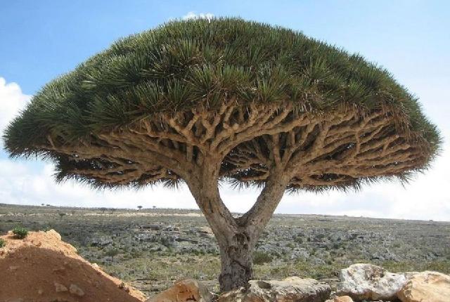 美爆了的风景图,美爆景区