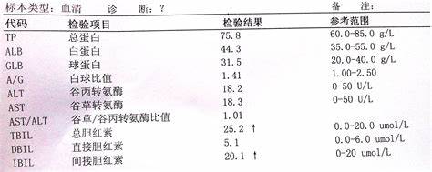 胆红素高，是什么原因，有危害吗？吃什么药能降？听听医生怎么说