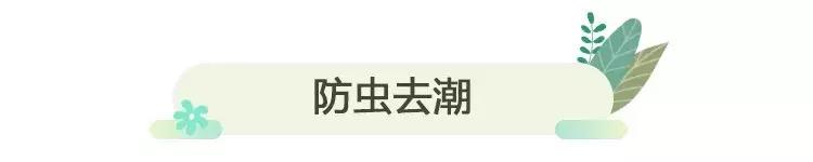 衣柜里放一年的衣服用洗吗,用啥放衣柜里衣服不生虫