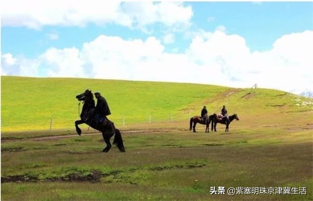 夏天最美的草原大环线,一次看尽万般风景-张北中都草原祈福人家