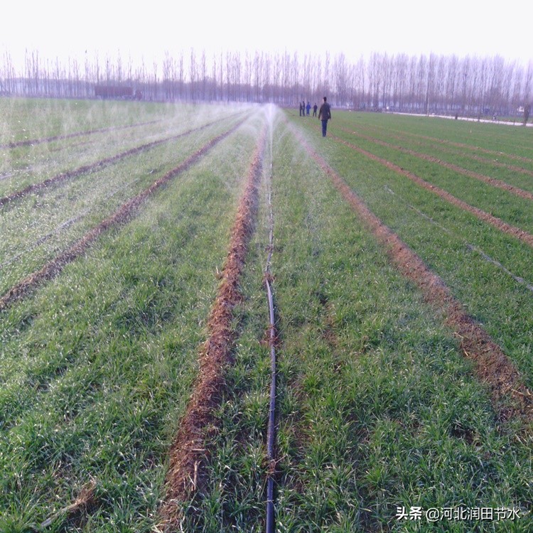 微喷灌整套安装示意图,微喷头组装