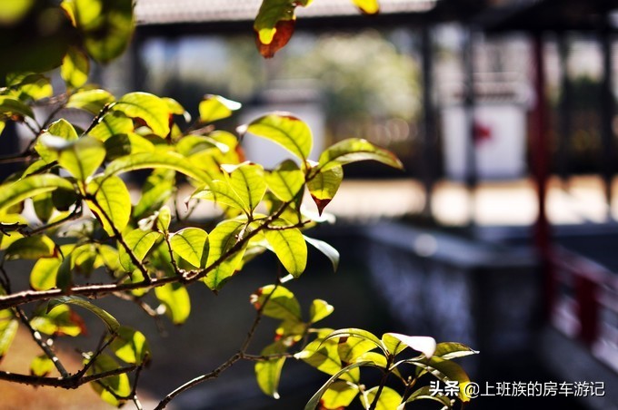 南通狼山一日游详细攻略图,夏天南通狼山一日游详细攻略