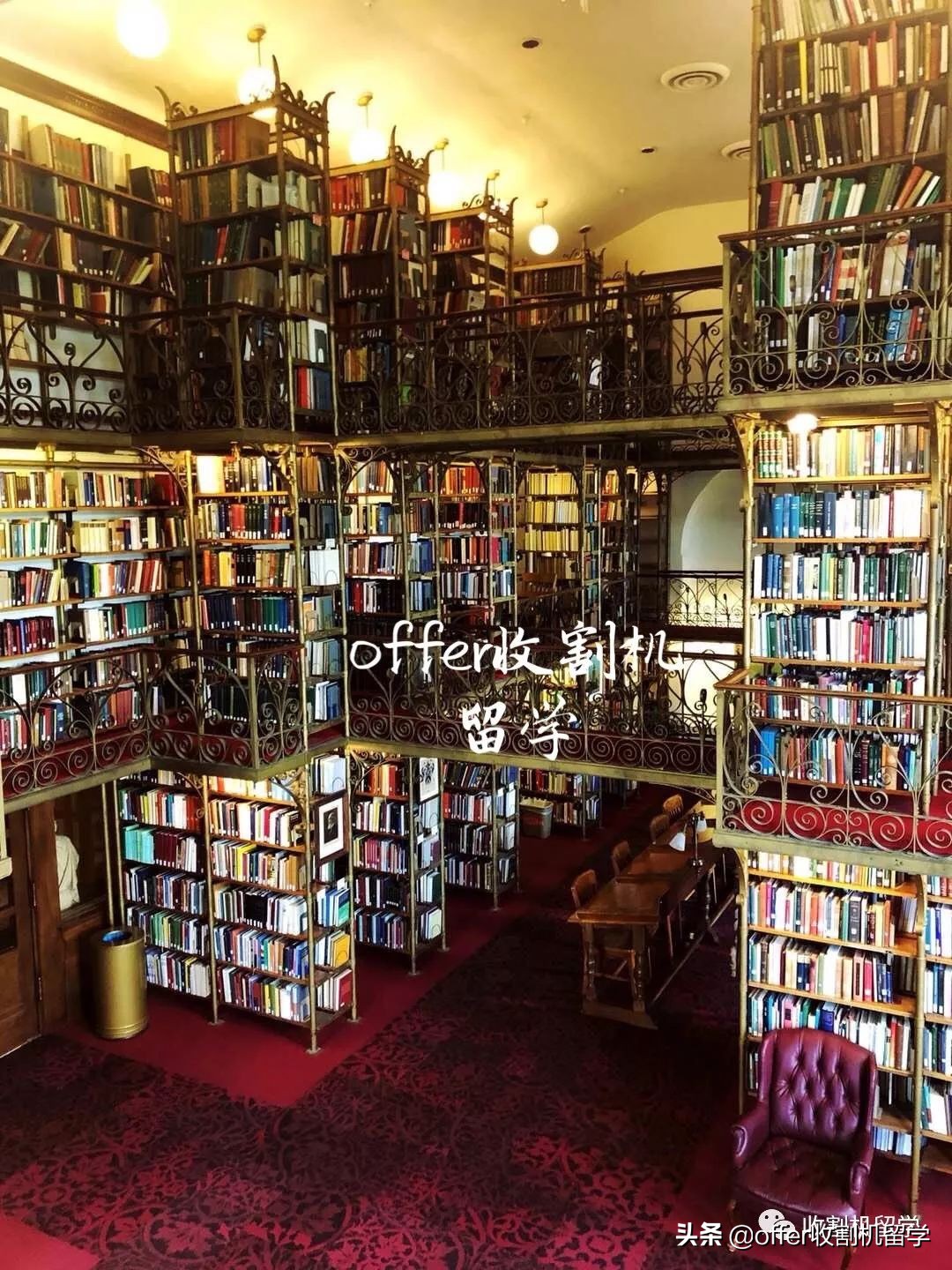 留学在康奈尔,在康奈尔大学读书