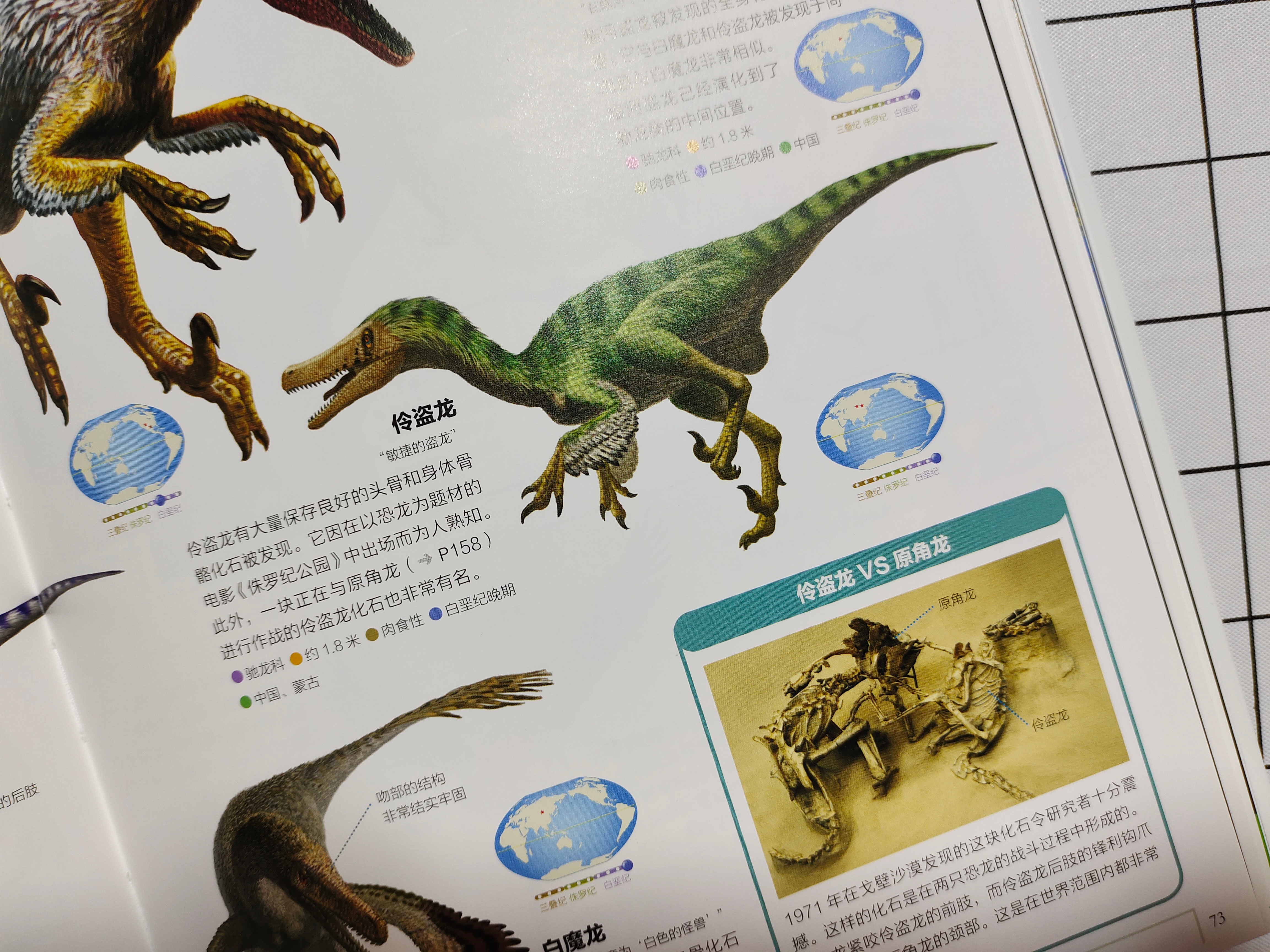 世界上知识点最全的恐龙百科全书,恐龙百科全书恐龙世界的无穷奥秘