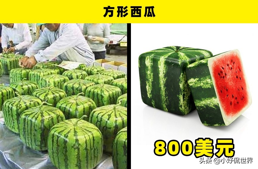 通常只有土豪才买得起的9种昂贵的水果