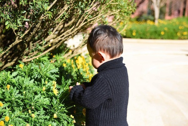 这个冬天特别冷没办法旅游,冬天这么冷的天还能出去玩吗
