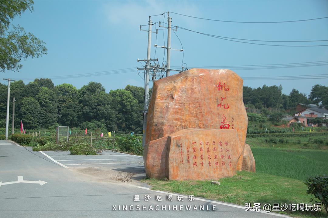 长沙小水果之乡,湖南长沙宝藏打卡地