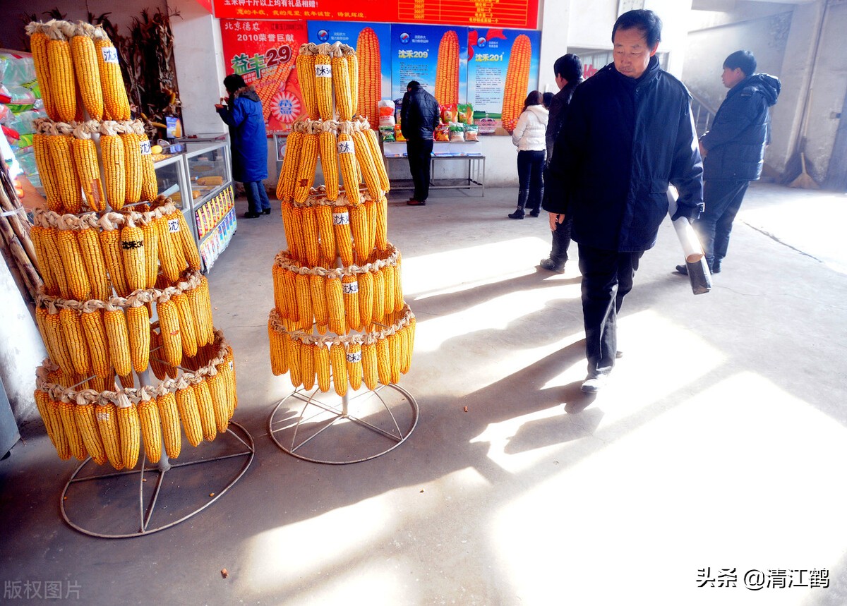 种子销售的前景,种子销售法则