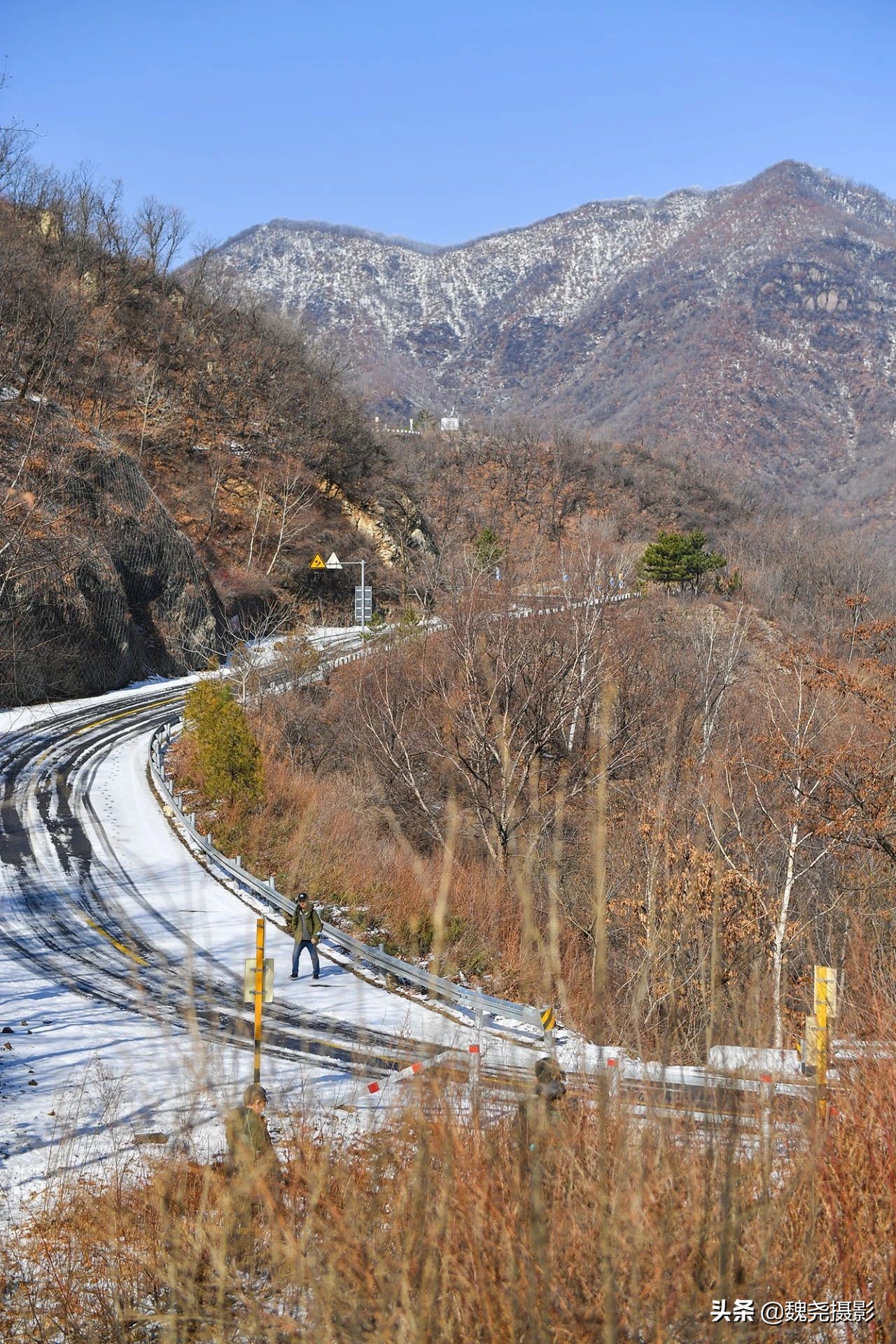 雪+雾凇+侧金盏+款冬=一次完美寻花之旅