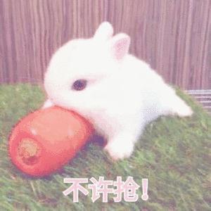 KIKO新品竟被10元野鸡彩妆KO了！想笑。。。