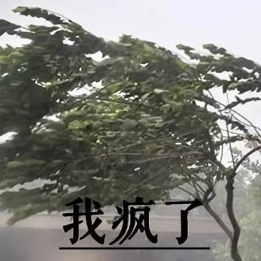 一卷纸换一双AJ，在美帝拥有纸巾的人有多“嚣张”