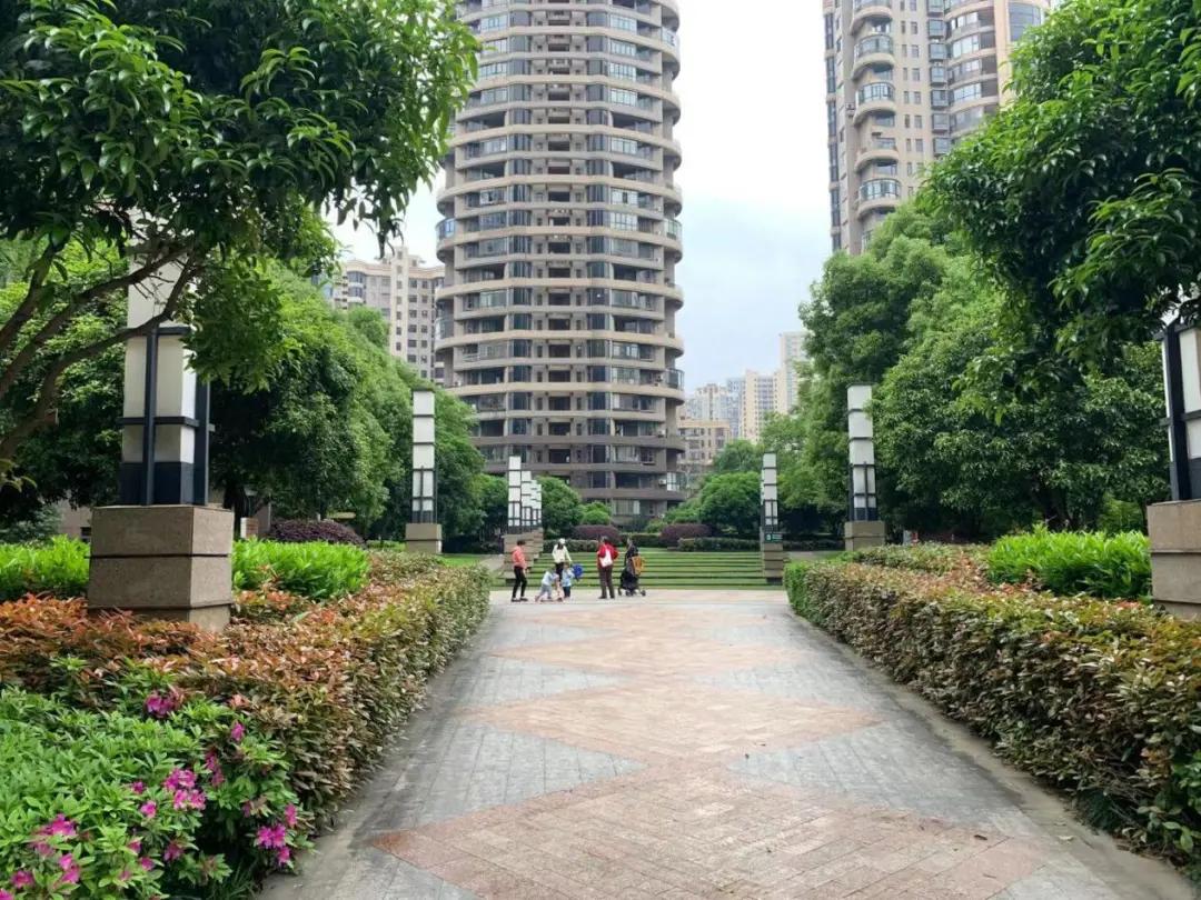 老城中的“奇葩”！这个经典盘的价值有没有被低估？