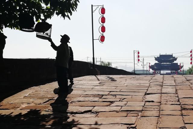 云南禄丰十大恐龙之乡,禄丰恐龙谷恐龙大遗址