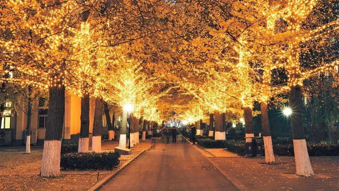 北京科技大学毕业生怎么样了？50%留北京，收入高于211平均水平