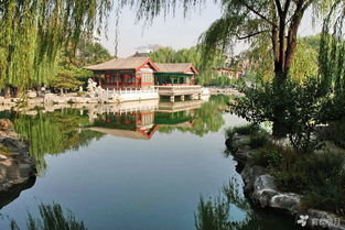 荡气回肠朗诵完整版,荡气回肠小说