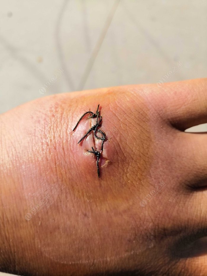 小凤仙全水域综合浮漂,小凤仙钓鱼浮漂