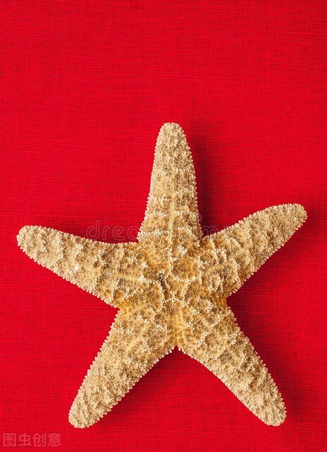 十万个为什么海洋怎么讲解,为什么海星吃海星