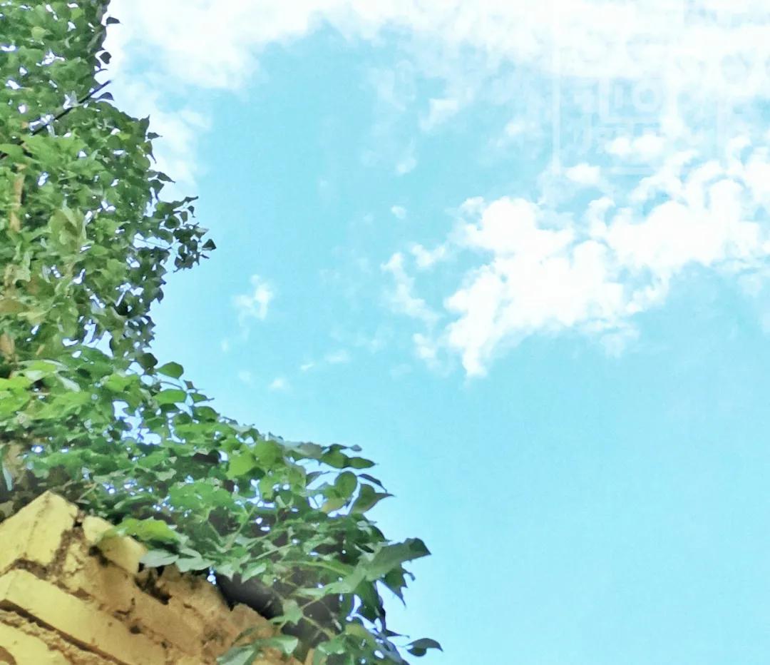 废片不要着急扔,废片要删掉吗