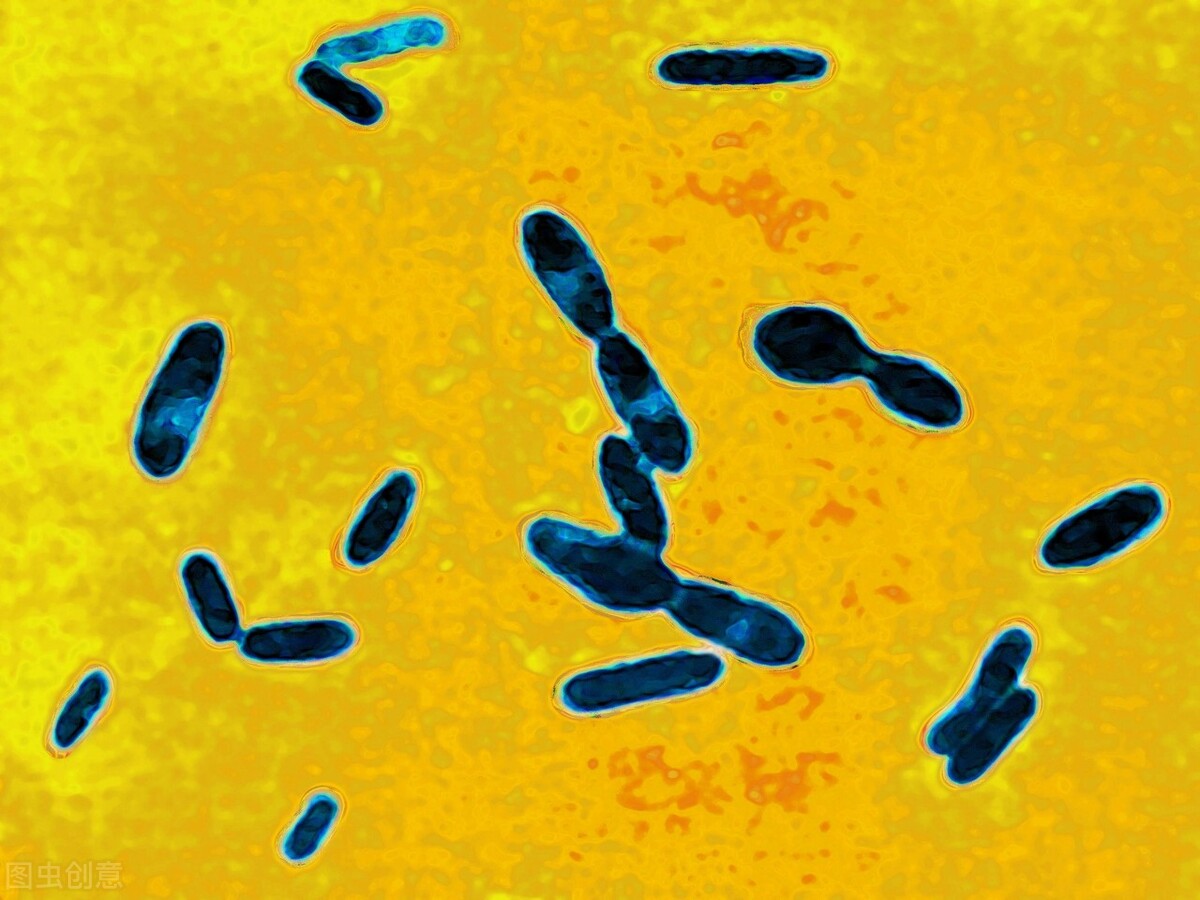 小孩一受伤就需要打破伤风吗?进来看看你就知道了