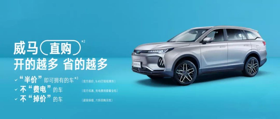 爱驰威马,威马爱驰